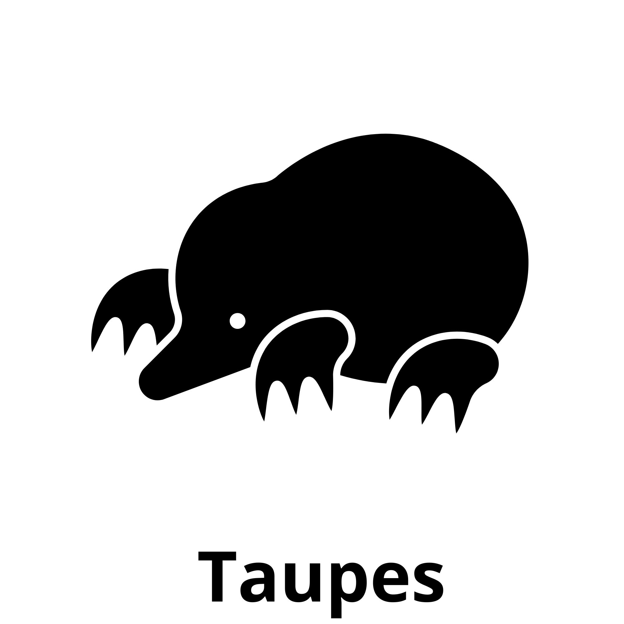 Taupes